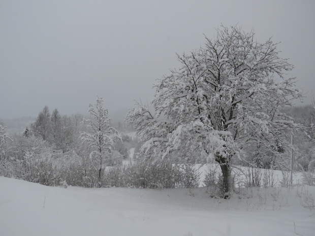 vinter